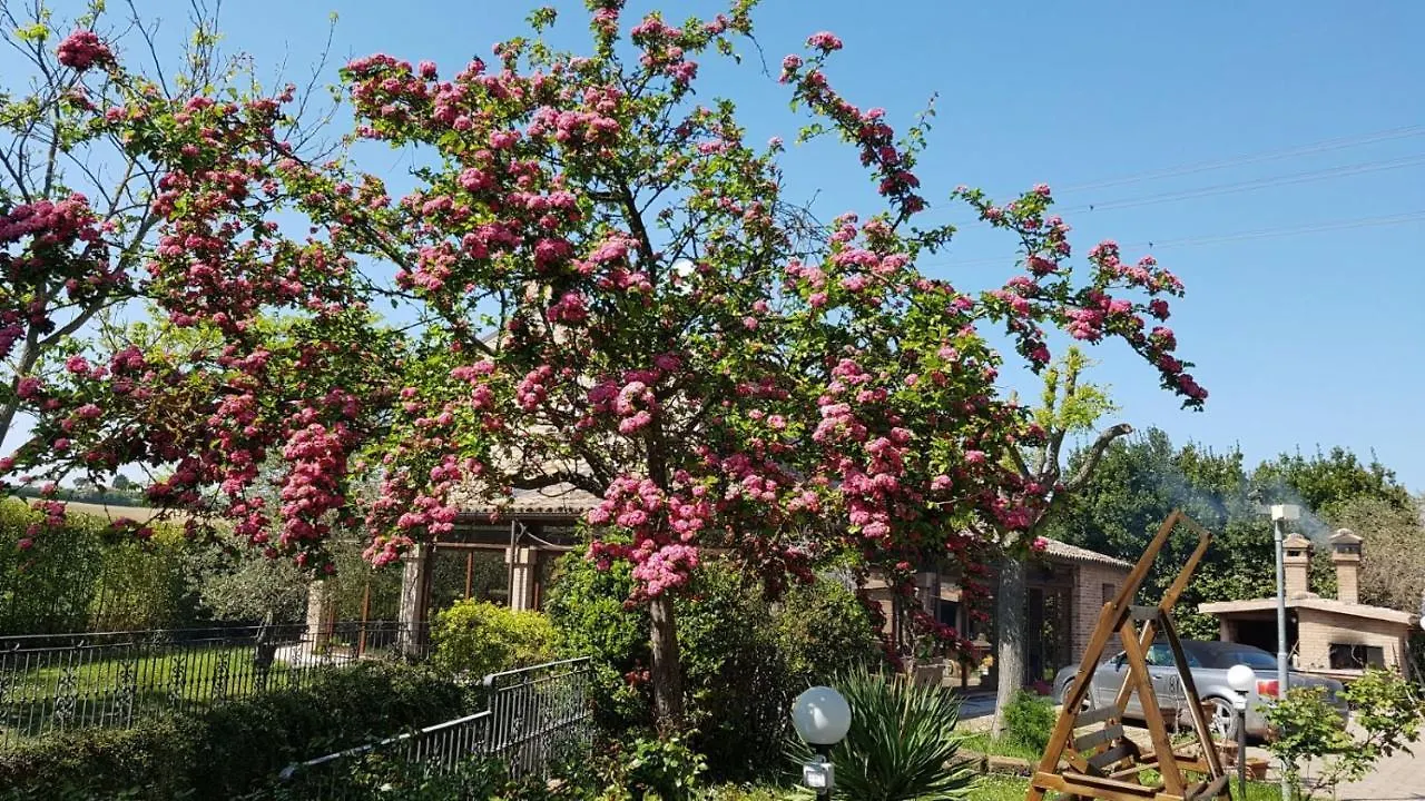 Bed and Breakfast Casato Olmeda Кориано Отель типа 